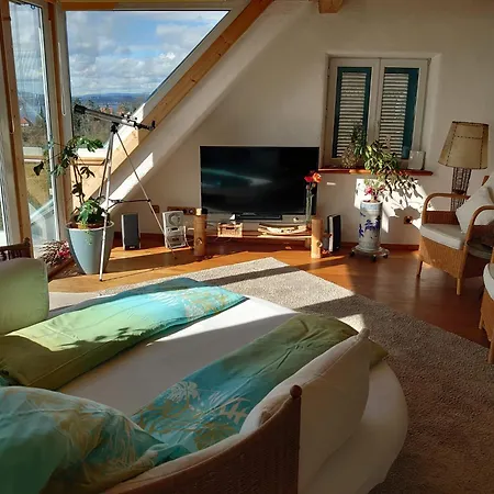 Apartamento Haus Roswitha Sundermeyer A Meersburg