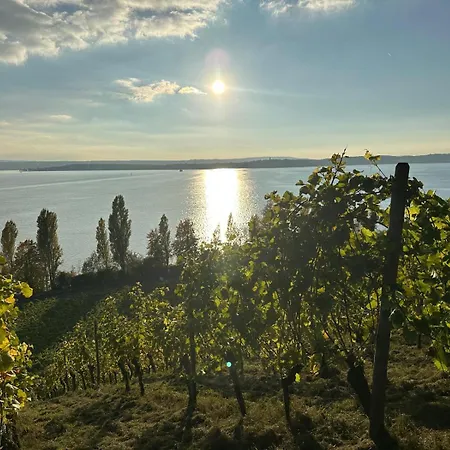 Apartamento Haus Roswitha Sundermeyer A Meersburg