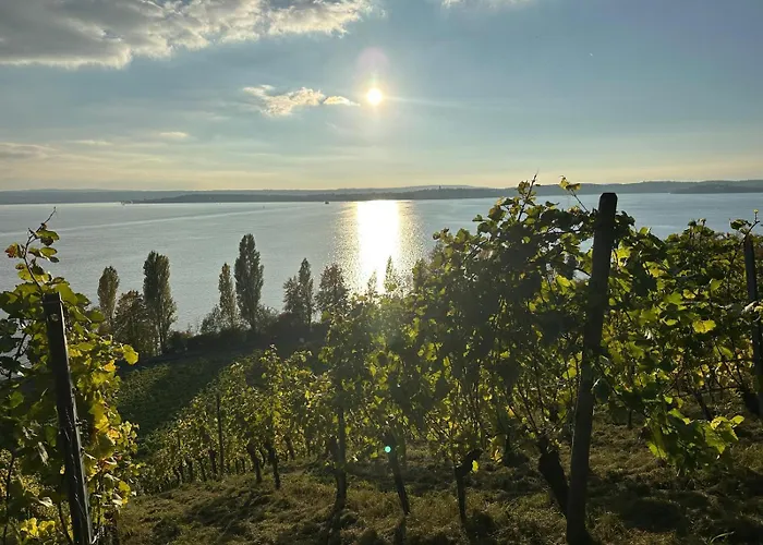 아파트 Haus Roswitha Sundermeyer A 미르스부르크